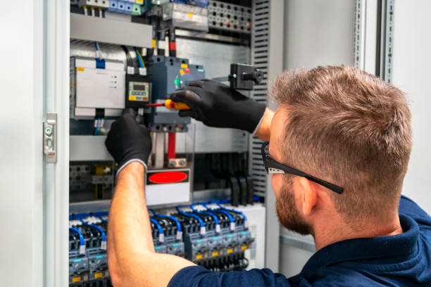 Best Electric Panel Repair  in Afton, MN